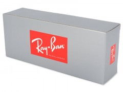 Zonnebril Ray-Ban RB4202 - 607313 